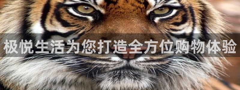 fun88环球网分析