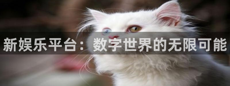 乐天堂fun88备用网址：新娱乐平台：数字世界的无限可能
