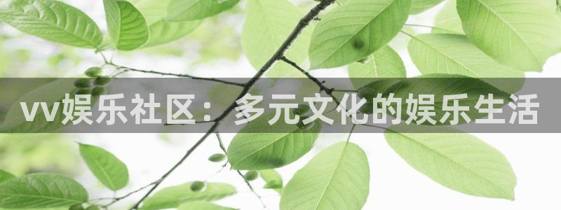 fun88网页版登录：vv娱乐社区：多元文化的娱乐生活