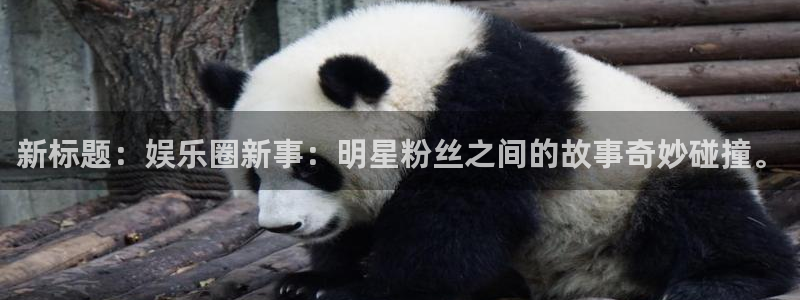 fun88·天堂乐：新标题：娱乐圈新事：明星粉丝之间的故事奇妙碰撞。