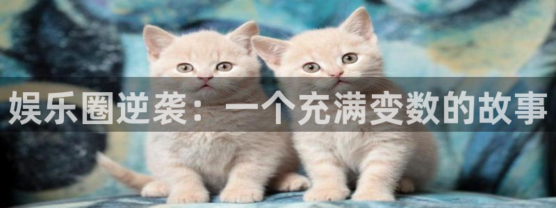 fun88环球预测：娱乐圈逆袭：一个充满变数的故事