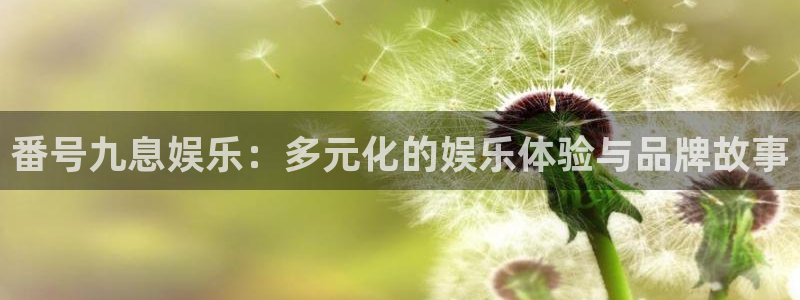 乐天天堂fun88：番号九息娱乐：多元化的娱乐体验与品牌故事