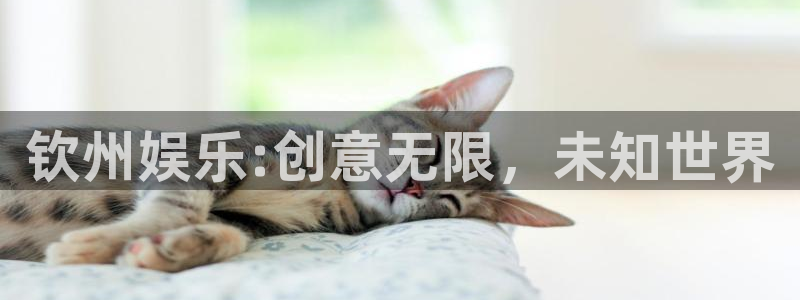 fun88·乐天堂：钦州娱乐:创意无限，未知世界